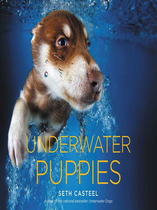 Title details for Underwater Puppies by Seth Casteel - Available